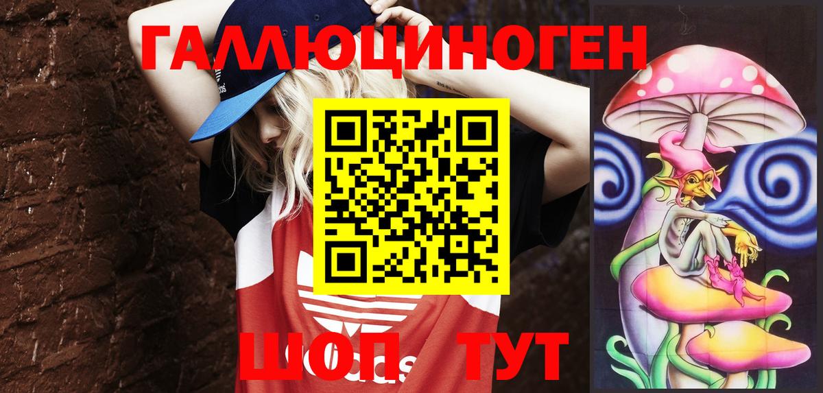Галлюциногенные грибы Psilocybine cubensis  Вход с VPN  Будённовск  Галлюциногенные грибы мицелий 