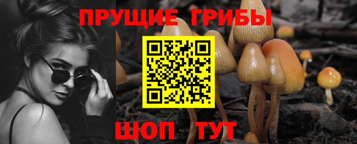 Галлюциногенные грибы Magic Shrooms Будённовск